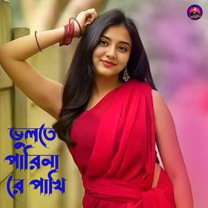 ভুলতে পারিনা রে পাখি