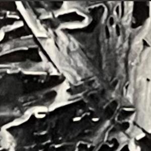 Quien teme la muerte no goza la vida