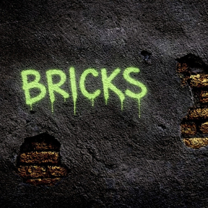 BRICKS