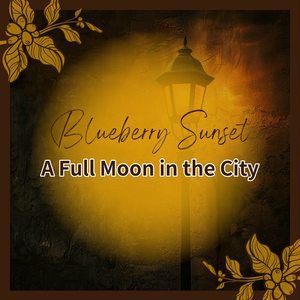 Cradled in Dreamy Shadows (Key E Ver.)