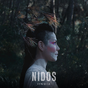 Nidos