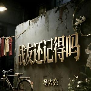战友还记得吗 (大亮版) (杨大亮 Remix)
