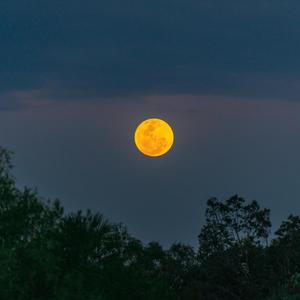 Sunset Ocean Waves of Hallett Cove