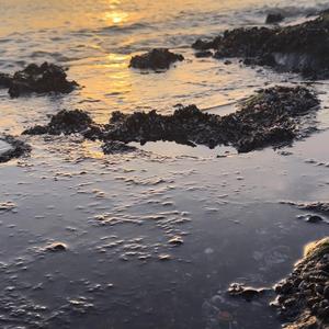 Altijd alleen nu zo sterk