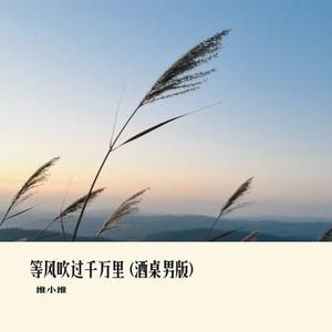 等风吹过千万里 (酒桌男版)(Cover 老板)