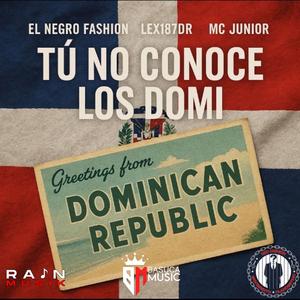 Tu No Conoce Los Domi (feat. Lex187DR & Mc Junior)