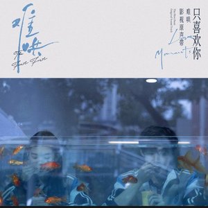 一切的一切（翻自 张淼怡）