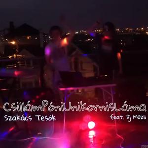 CsillámPóniUnikornisLáma (feat. Dj Műzli)