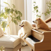 Pet Music Therapy - Soothing Paws Piano Melodies