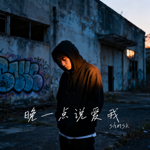 晚一点说爱我