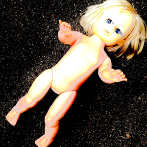 First Day of the Mice