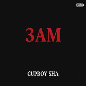 3AM