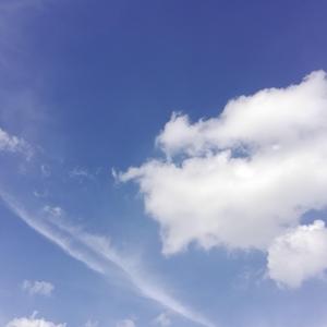 纯蓝【ACE云故璃】（cover：洛天依）