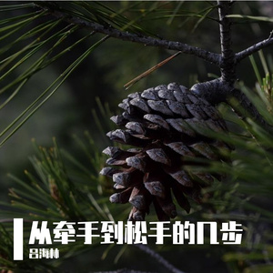 从牵手到松手的几步