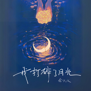 我打碎了月光