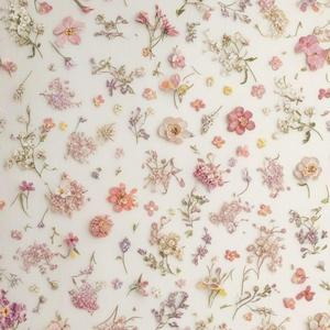 Slow Shinjuku Static