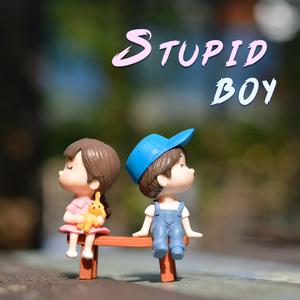 Stupid Boy