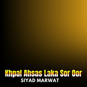 Khpal Ahsas Laka Sor Oor