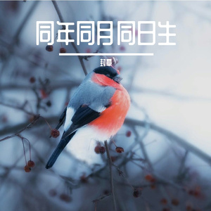 同年同月同日生 (1)