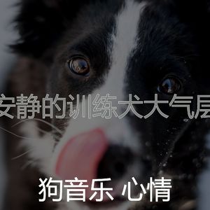 有趣训练犬情怀