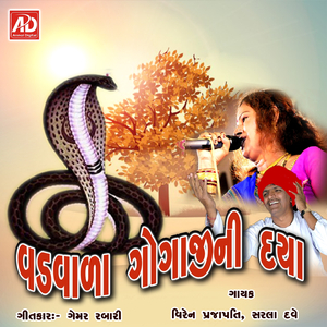 Ha Ha Re Hu To Aarti Utaru Goga Bapani