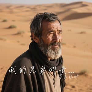 我的兄弟叫贵华