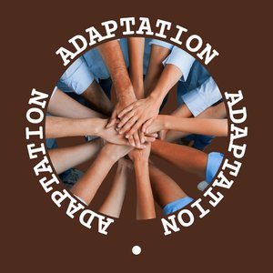 Adaptation
