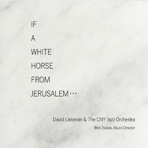 If a White Horse from Jerusalem - III. Ki Lo Noeh - Maqam Saba