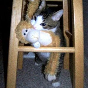 Kuer4$-[remake]new jeans ditto（藥丸淡了 / kifye remix）