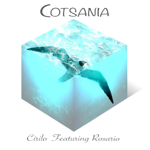Cotsania