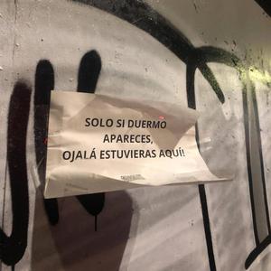 Paracetamor (en Casa del Rolty)