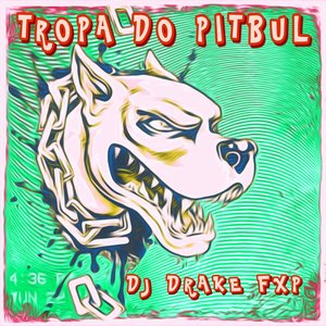 Tropa do Pitbul