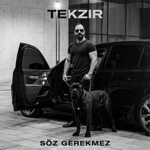 SÖZ GEREKMEZ