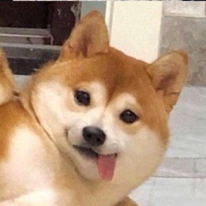 世界上没有真正的感同深受