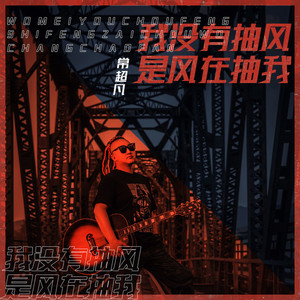 我没有抽风是风在抽我