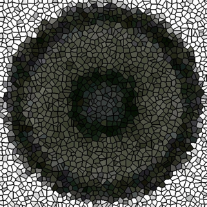 Pop It, Drop It, Juke It