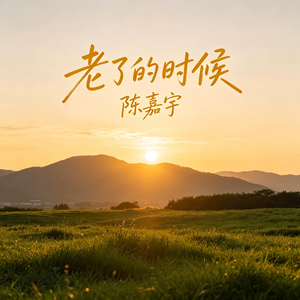 老了的时候