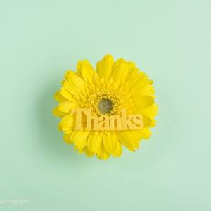 《恋爱的四季》女歌 清新 动感