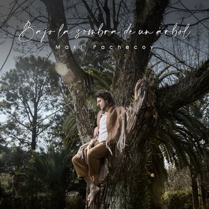 Bajo la Sombra de un Arbol