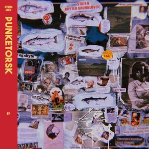 Kor Vart Det Av Fiskan