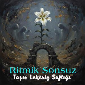 Taşır Lekesiz Saflığı Ver.1