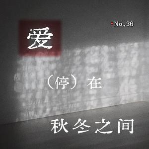 爱停在秋冬之间