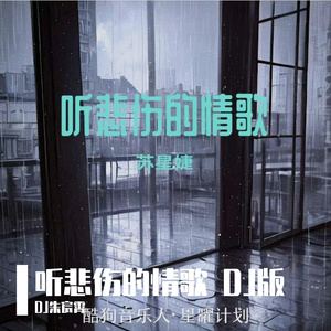听悲伤的情歌 DJ版