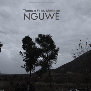 Nguwe (Percussion Mix)