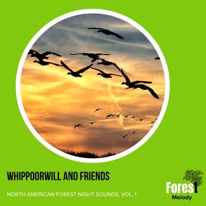 Noble Northern Flicker