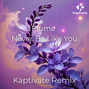 Never Be Like You (Kaptivate Remix)