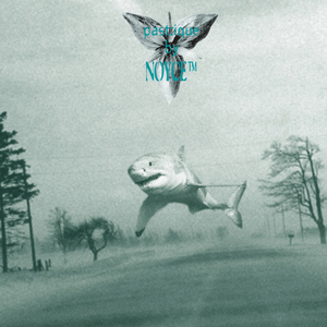 Clinical White Noise