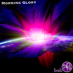Morning Glory