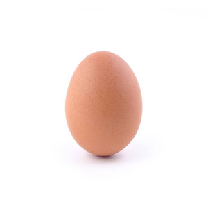 Egg
