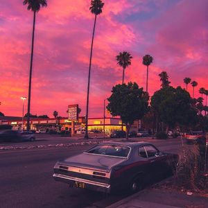 [FREE]“‘眼角轻瞥,便能看见落日的余晖拂过脸庞’”_IANN DIOR type beat